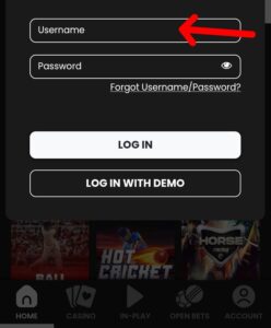 playbro username
